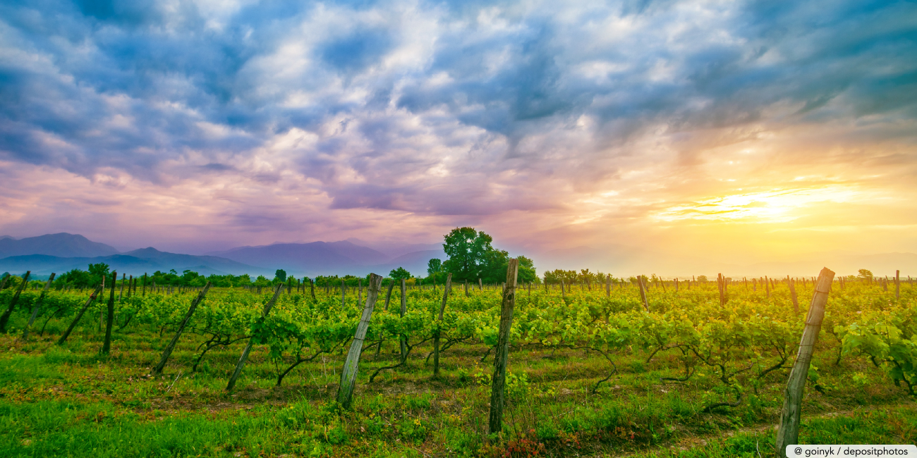 Entdecken Sie die Kunst von Niko Pirosmani in Georgien