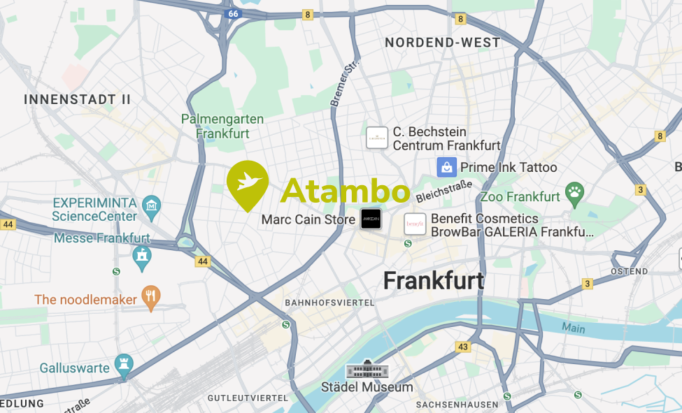 Kunstreisen wickeln wir per Telefon und Video-Meeting ab. So können wir Kunst Reisen für Menschen in ganz Europa anbieten.