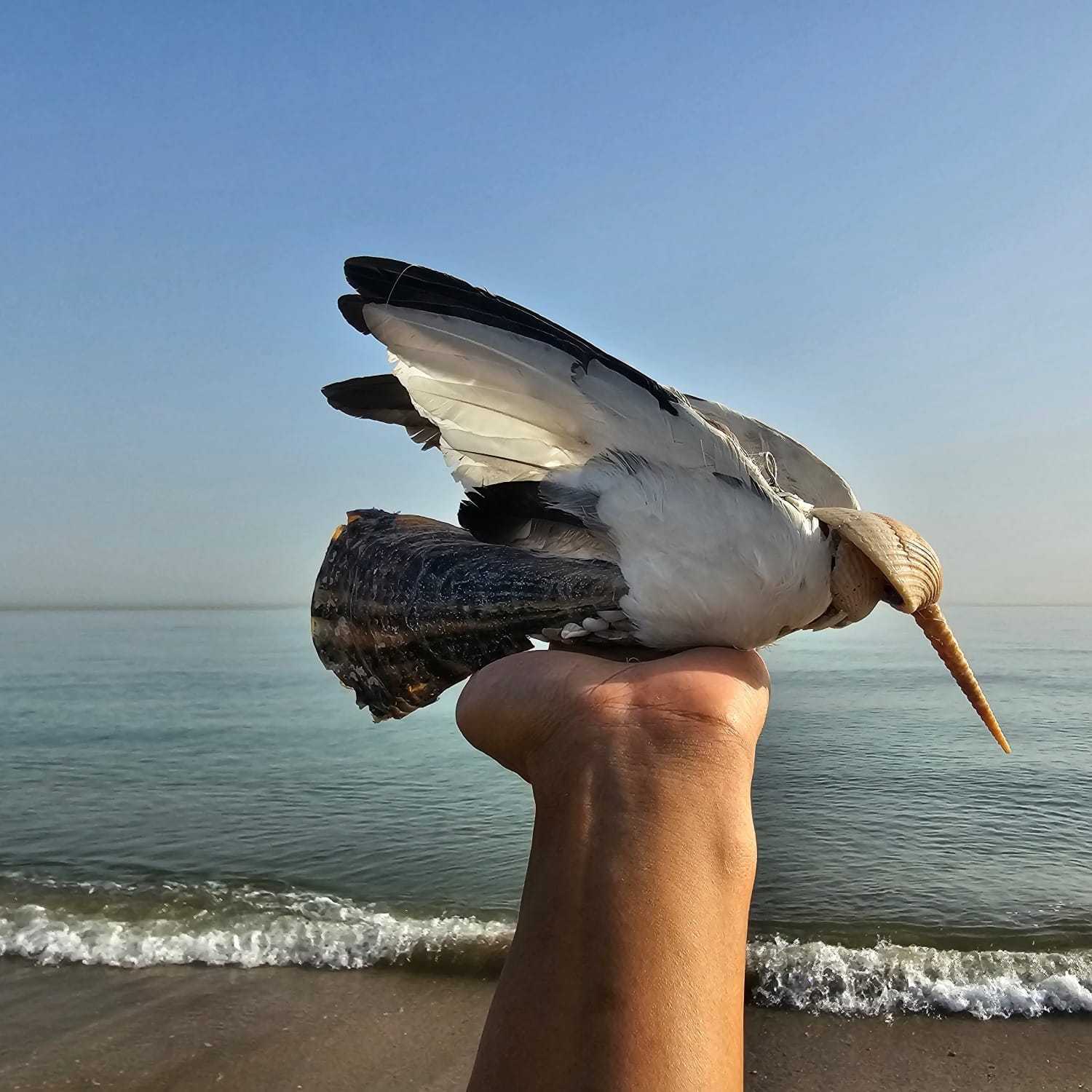 IMG-20240626-WA0013 (1)