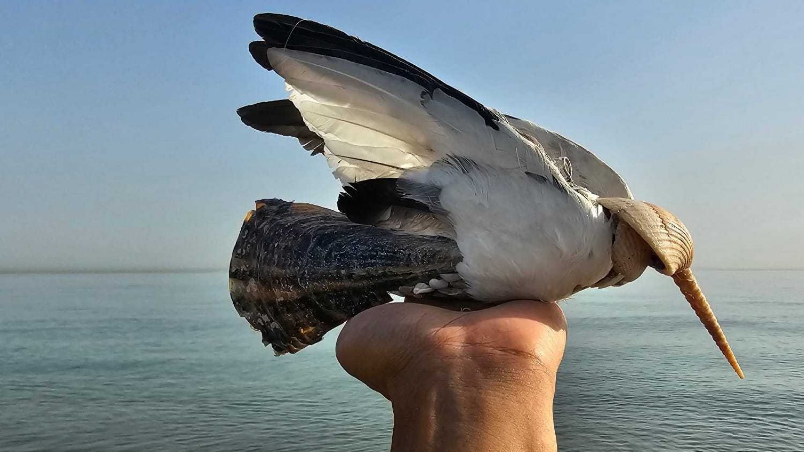 IMG-20240626-WA0013 (1)