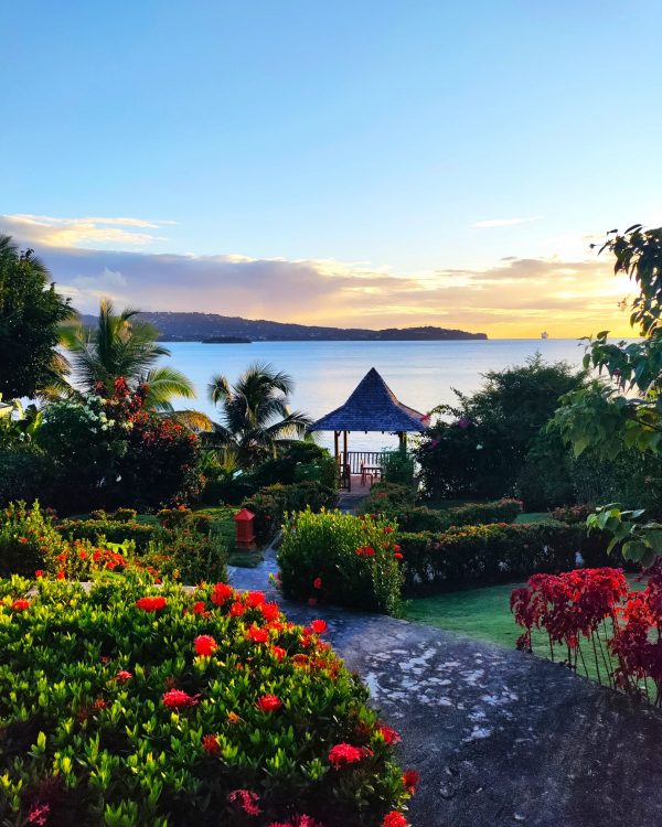 Zeitgenössische Künstler in Saint Lucia - Llewellyn Xavier, Sakey & Michelle Elliot
