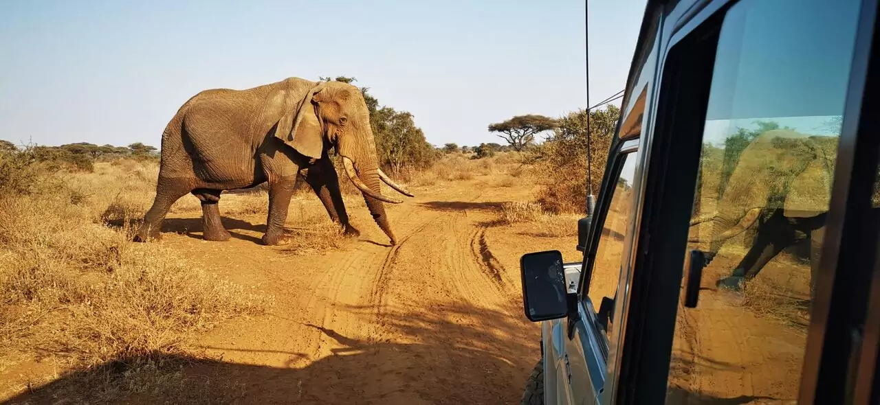 Elefanten-Safari@atambo